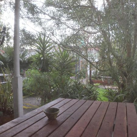 Oasis Accommodation Opotiki Ngoại thất bức ảnh